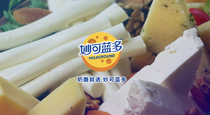 零嘴奇境市場(chǎng)營(yíng)銷策劃