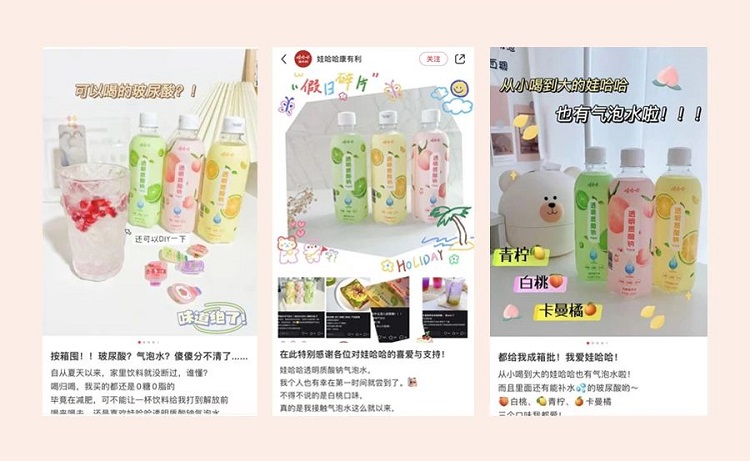 娃哈哈氣泡水營(yíng)銷案例