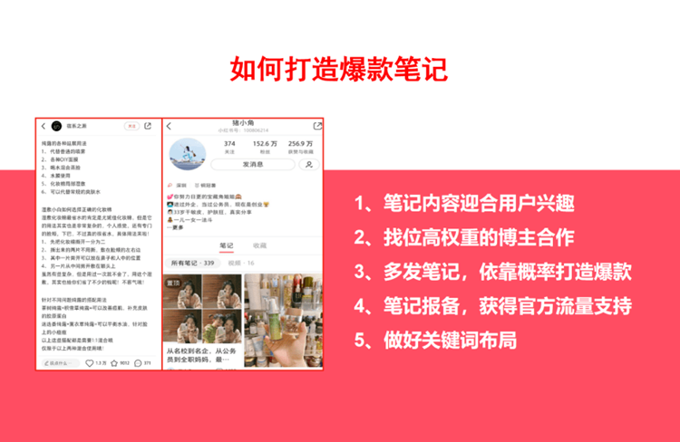 小紅書推廣種草策略之爆款筆記的打造！-恪爾品牌管理