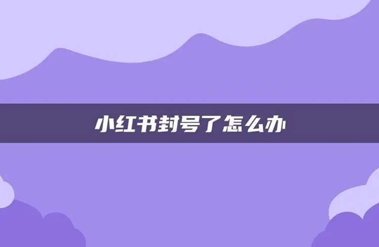 小紅書被封號？別擔心，送你一份解封指南！-恪爾品牌管理