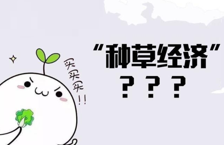 小紅書種草經(jīng)濟(jì)亂象整治，以后廣告會(huì)被打上標(biāo)簽！-恪爾品牌管理