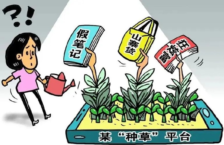 種草內(nèi)容