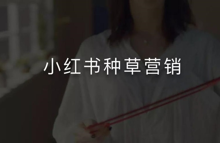 解鎖小紅書種草技巧，探索品牌推廣新策略！-恪爾品牌管理