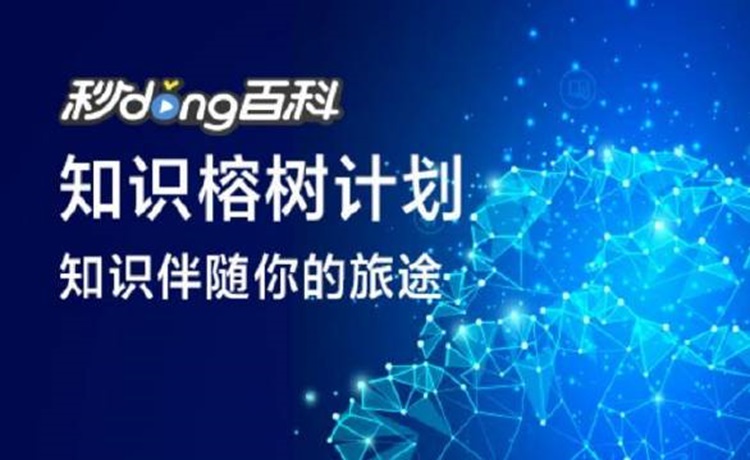 百度百科代做