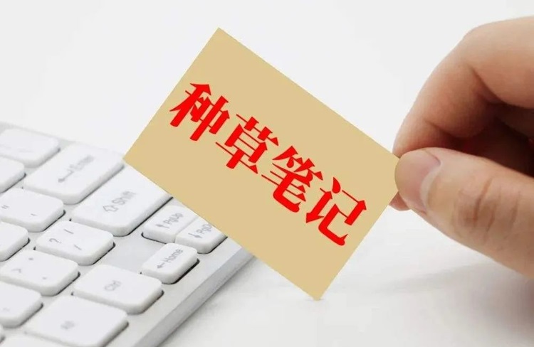 小紅書代運營